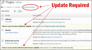 Wordpress Update